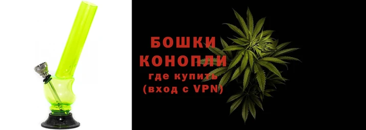 ПСИЛОЦИБИНОВЫЕ ГРИБЫ Балабаново