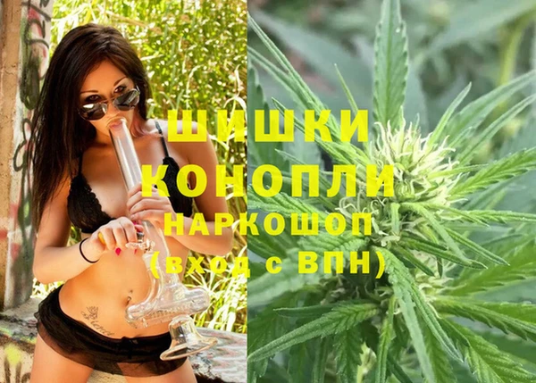 молекула духа Балахна