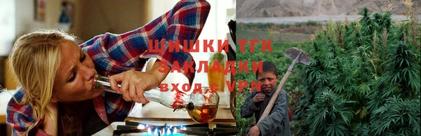 ПСИЛОЦИБИНОВЫЕ ГРИБЫ Балабаново