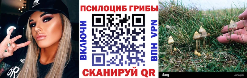 Псилоцибиновые грибы Psilocybe  OMG онион  Кувандык  продажа наркотиков 