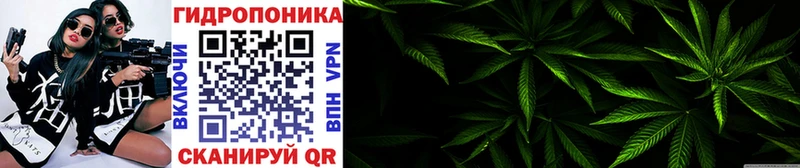 KRAKEN как зайти  Кувандык  Марихуана семена 